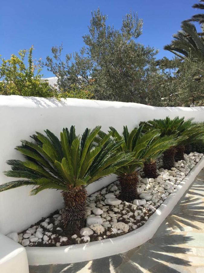 Myconian Sky Suites In Town Mykonos Town Eksteriør billede